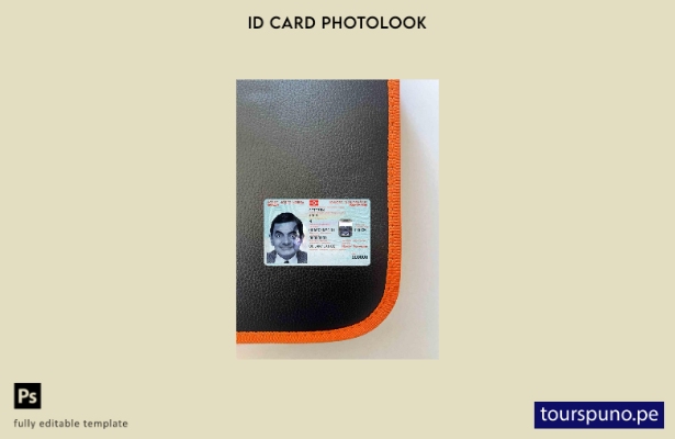 Plantilla FRONTAL lista para imprimir con foto de identificación de Noruega